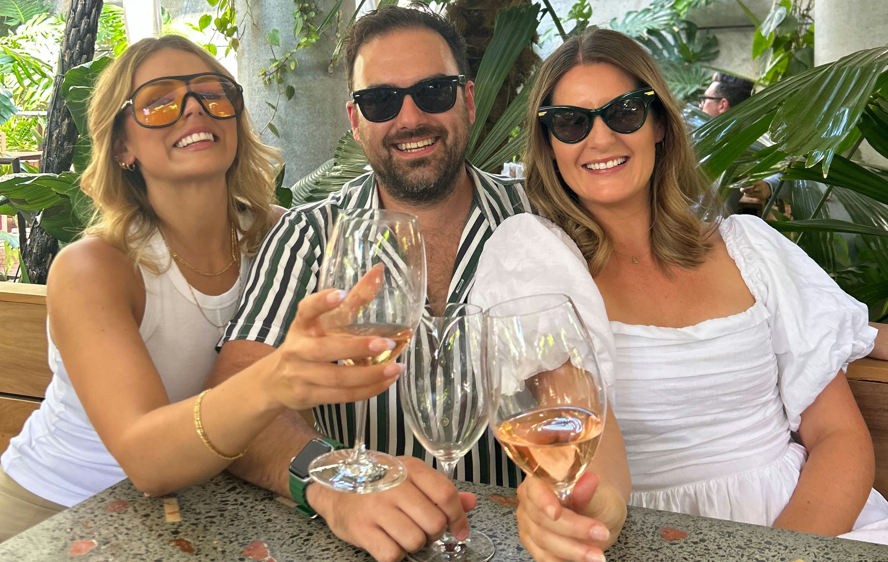 Friends cheers their wines at dinner